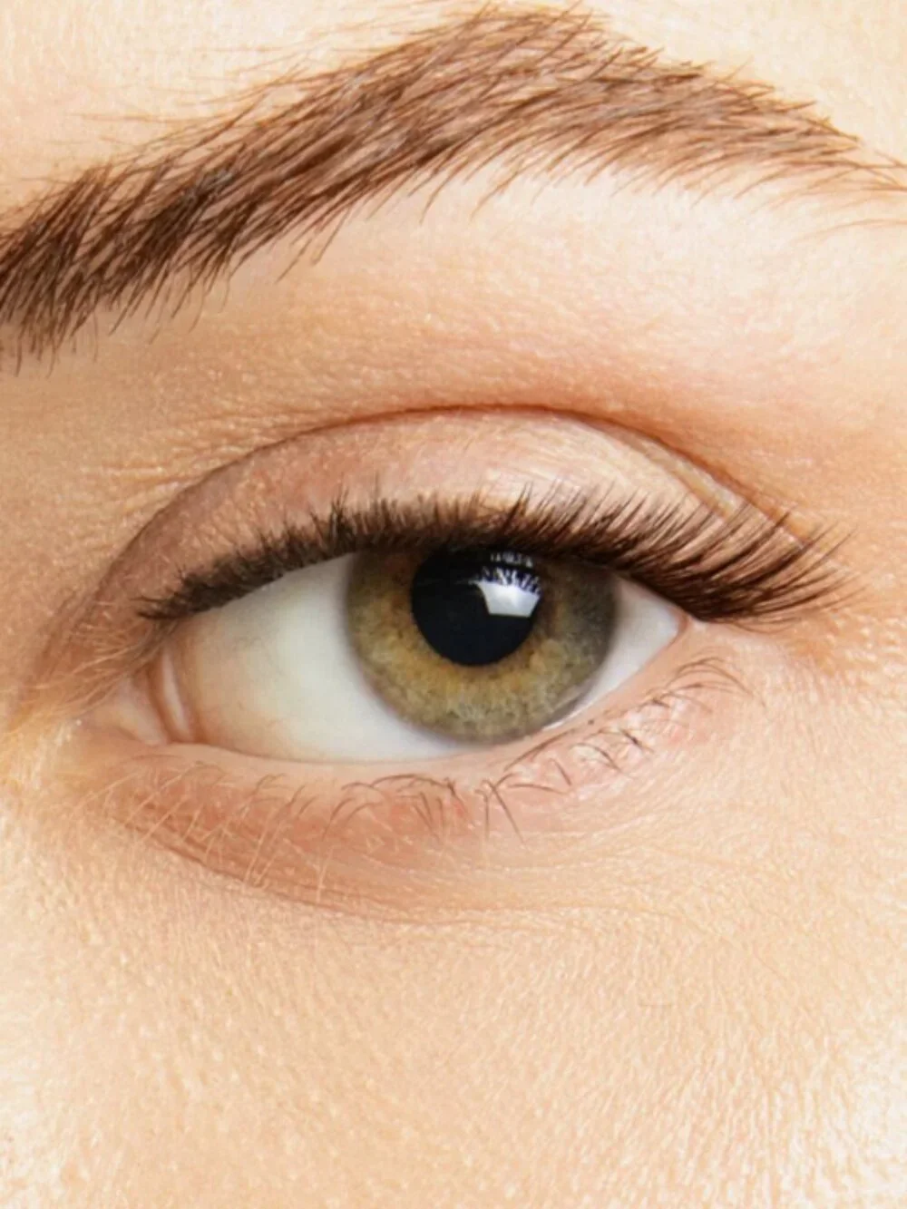 LASHIFY I-Line™ Gossamer® Lash - Black